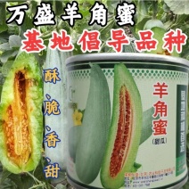 【高品质】万盛羊角蜜甜瓜种子高甜酥脆香甜羊角酥甜瓜种子