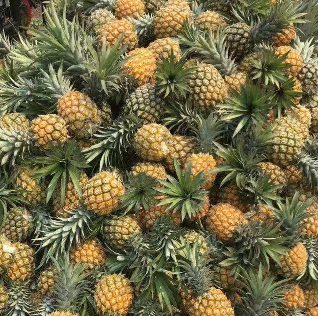 市场上的新鲜菠萝