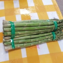 头子好新鲜大小中笋全都有需要的联系