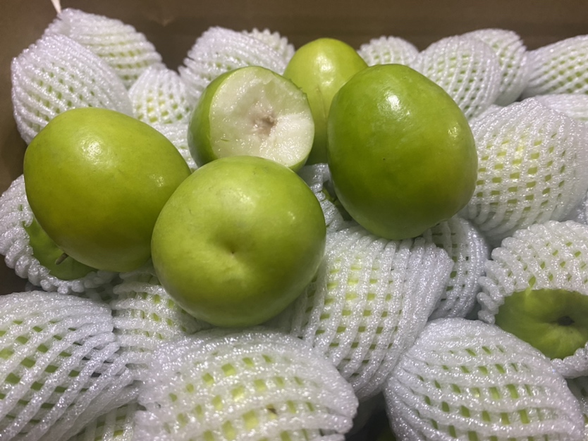 高朗一号青枣分拣包装车间