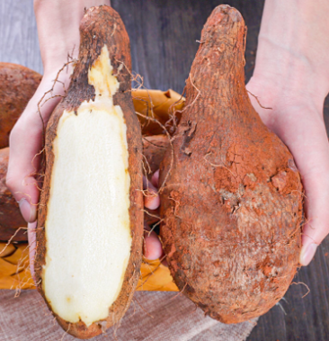 9斤30元包邮金秤砣山药软糯山药板栗山药淮山药