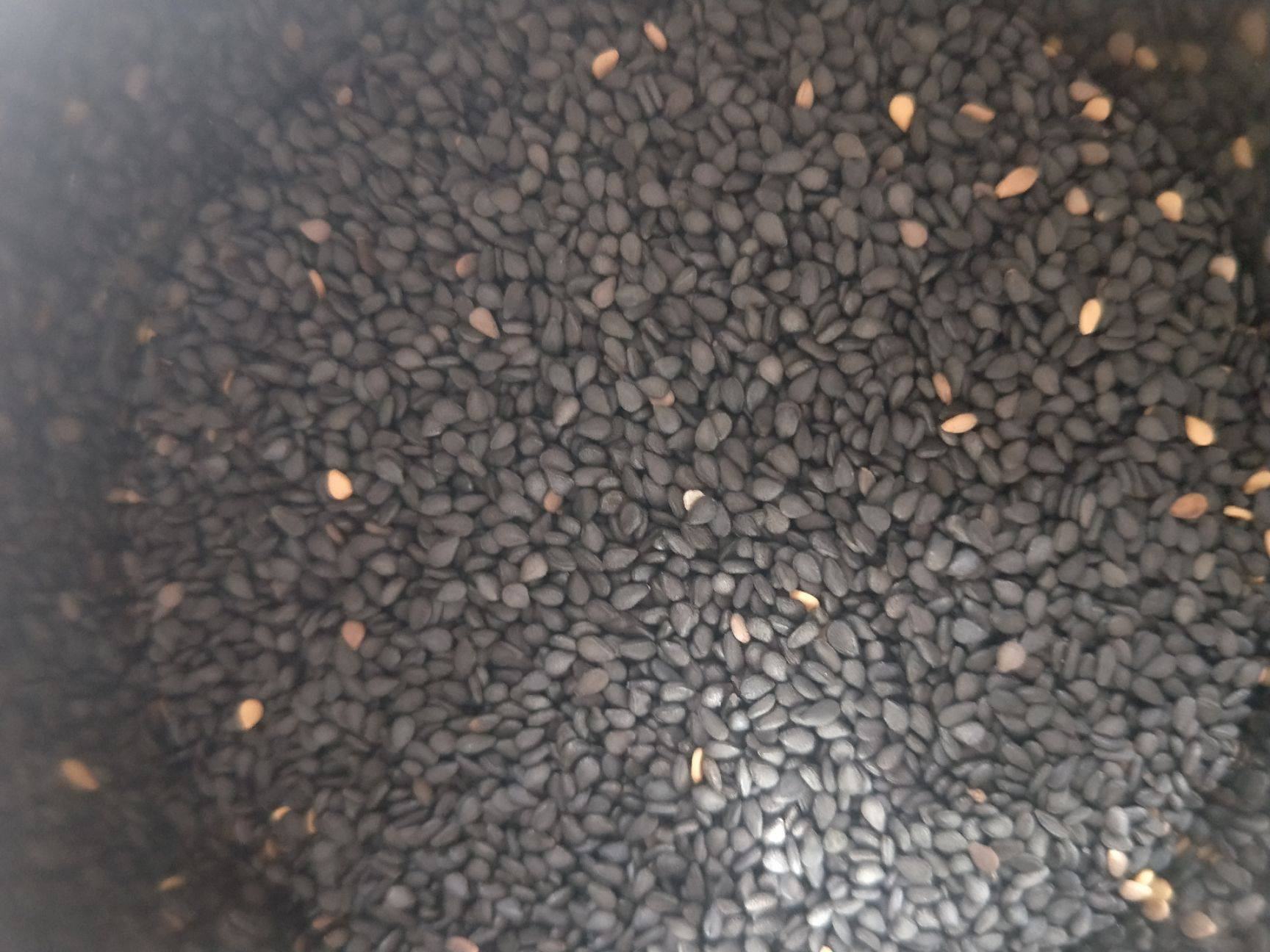 黑芝麻与营养元素对比图