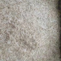 烘干虾皮