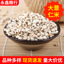 批发贵州大薏米薏米仁五谷杂粮薏苡仁薏仁米粗粮泡茶