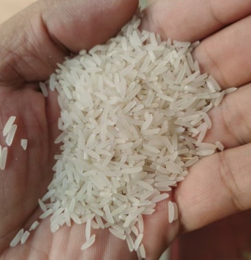 大米野香优莉丝大米长粒香大米基地直供量大从优可对接米厂
