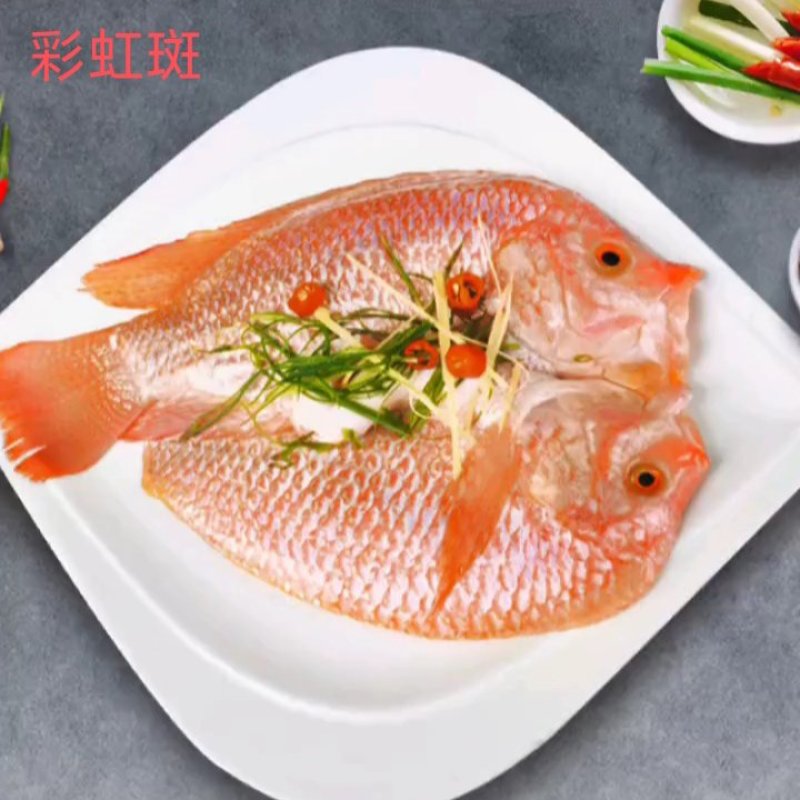 彩虹斑鱼《调理鱼类,活鱼宰杀,速冻锁鲜》