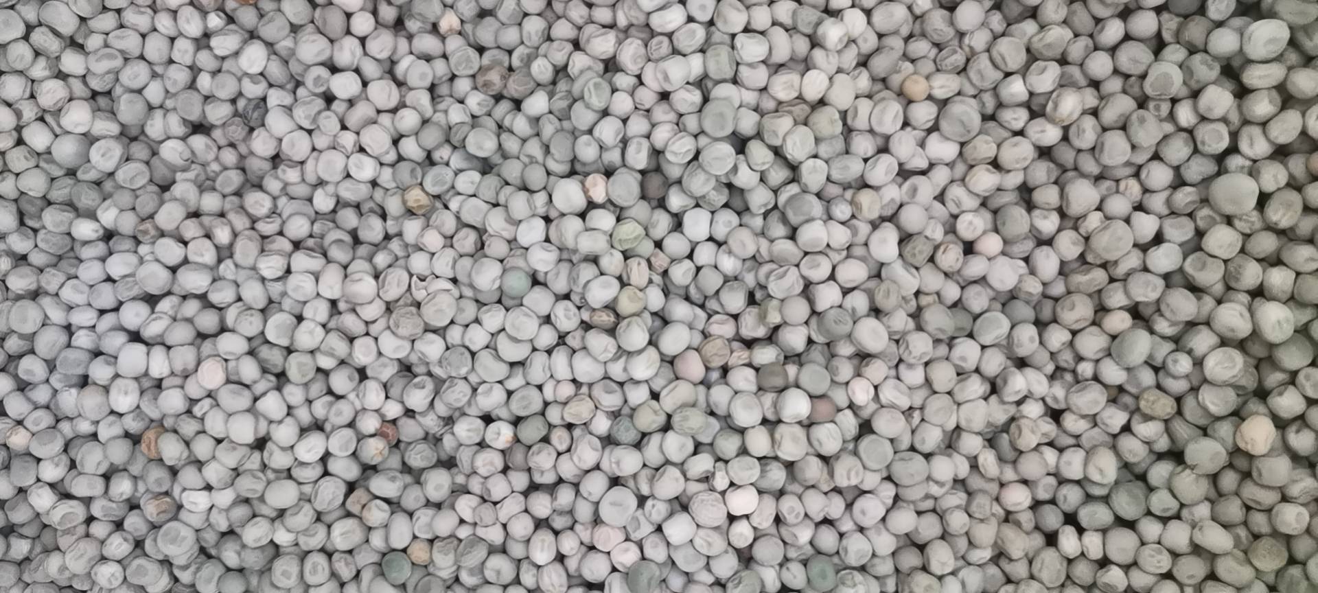 豌豆菜肴示意图