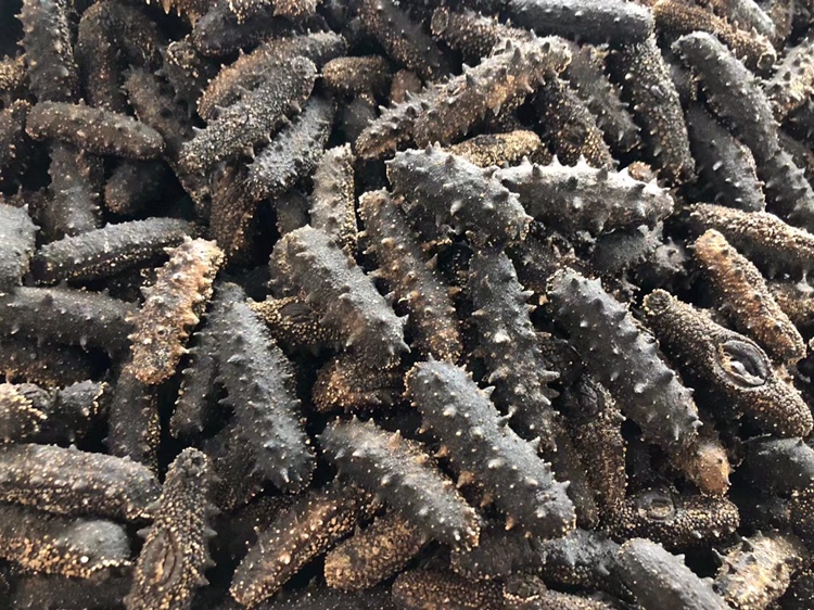 海参炖黑豆成品图