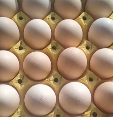 精品粉壳鸡蛋自家养殖场新鲜鸡蛋质量保证价格实惠