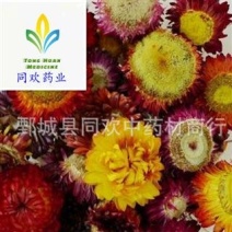 【七彩菊菊花】@【同欢药材】中药材批发供应