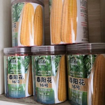 高产优质杂交种子