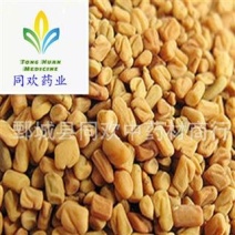 【葫芦巴】@【同欢药材】中药材批发供应规格齐全