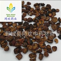 【炒山楂】@【同欢药材】中药材批发供应规格齐全量大从优