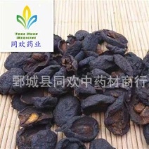 【焦山楂】@【同欢药材】中药材批发供应规格齐全