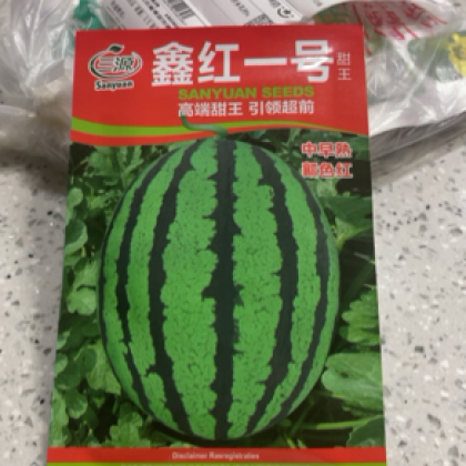 哈尔滨甜王西瓜种子产地行情