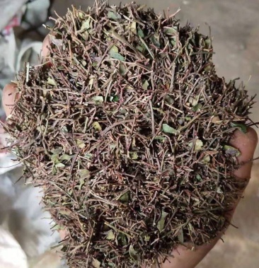 [花椒杆批发]甘肃大红袍泡脚花椒杆,除湿气.价格2.50元/斤 - 一亩田