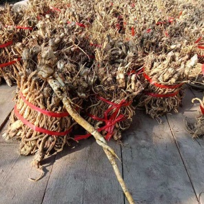 [微生物菌剂批发]美国富朗生物能叶面肥 金正大 亲土一号价格2.