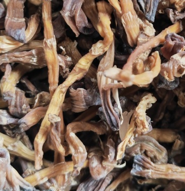 [罗汉笋批发]野生罗汉笋干价格90.00元/斤 - 一亩田