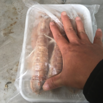 活煮，熟冻皮皮虾。天然海产品。绿色食品。天然无污染。