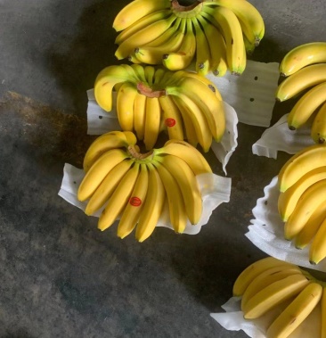 [香蕉批发]香蕉各种黄都有价格18.00元/件 - 一亩田