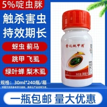 跳甲清10%啶虫脒柑橘蚜虫蓟马绿叶蝉飞虱农药杀虫剂