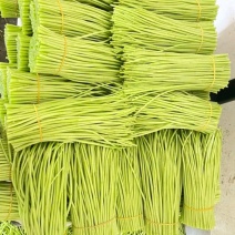 常年出售净芦蒿毛芦蒿