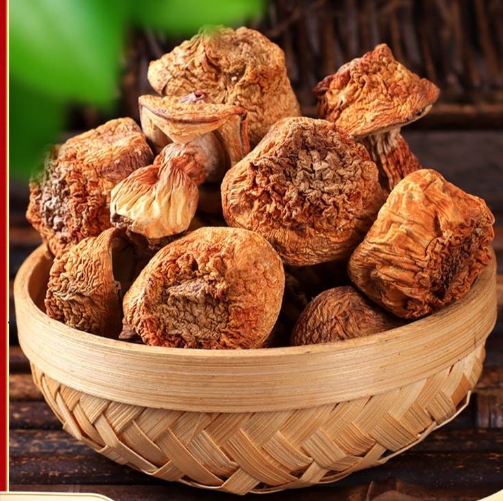 姬松茸与其他几种常见食用菌对比图