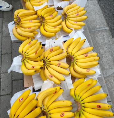 [香蕉批发]香蕉价格2500元/件 
