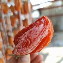 陕西富平柿饼一手货源
