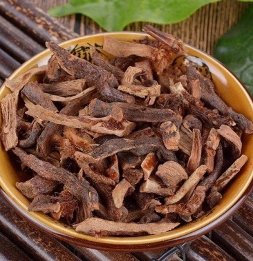 [骨碎补批发]中药材野生骨碎补中草药新鲜骨碎补粉中药药材价格55.