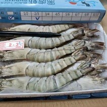 草虾/黑虎虾，货源充足，价格略有涨幅，650g*6盒