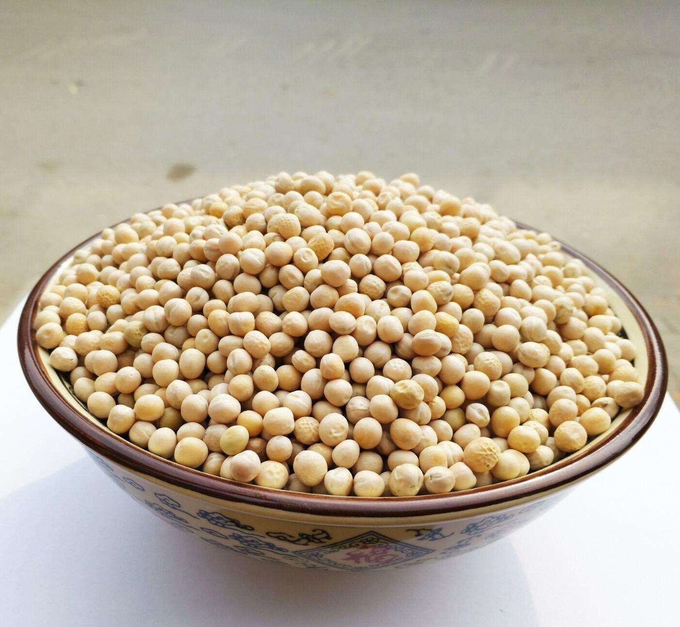 白扁豆粥成品图