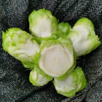 基地热销精品儿菜
