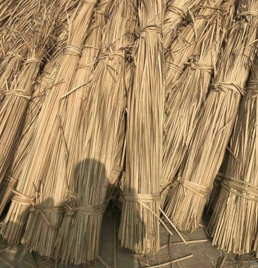 [干蒲草批发]干蒲草 湿蒲草 蒲根 白洋淀货源 价格实惠质量有保证价格