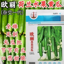 荷兰水果黄瓜种子无刺无瓜把节节有瓜油绿甜脆