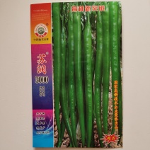 长线椒种子苏润3000辣椒种子早熟高产抗病长线椒种子