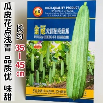 大肉花点丝瓜种子杂交肉丝瓜棱角丝瓜种子味甜头尾匀称