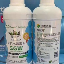 有机水溶肥氨基酸肥料黄叶死苗一喷绿，补充营养，提肥增