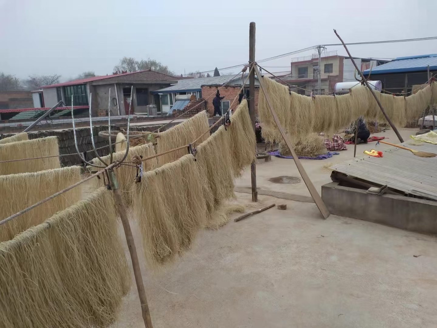 中国北方农村院落,阳光下大片红薯粉条平铺于竹席上自然晾晒,村民手持耙子翻动粉条,背景可见传统砖房与炊烟,体现传统工艺氛围 农家晾晒红薯粉条场景