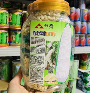 1250克装晓富珍珍糯600白糯玉米种子粘糯q弹糯中带甜