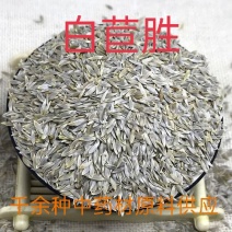 中药材，中药材白苣胜，白巨胜，苣胜子质量保证欢迎咨询选购