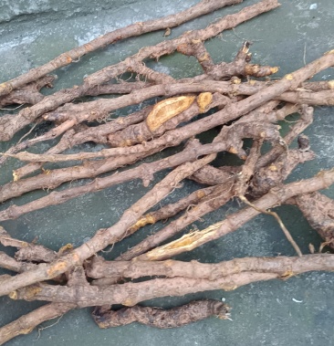 [虎杖批发]虎杖价格7.00元/斤 - 一亩田