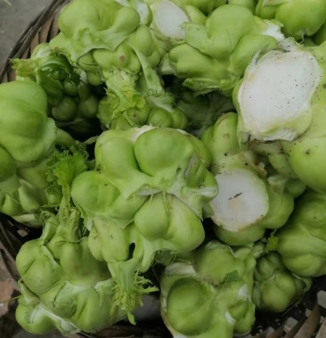 [榨菜批发]洋果菜价格0.60元/斤 - 一亩田