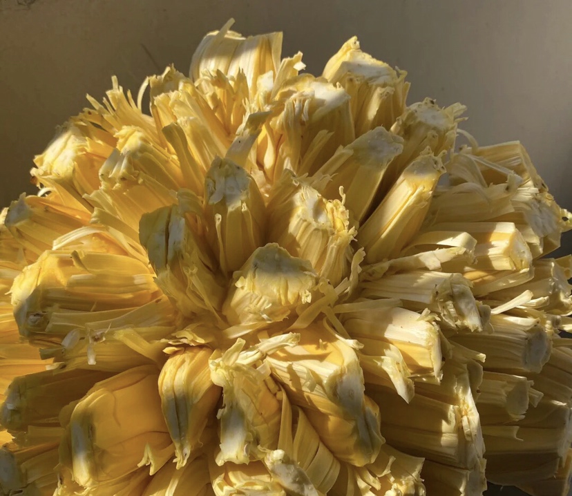 菠萝果肉特写,展示其金黄色的果肉和自然纹理 菠萝果肉特写