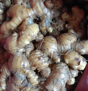 [生姜批发]本地生姜价格3.98元/斤 - 一亩田