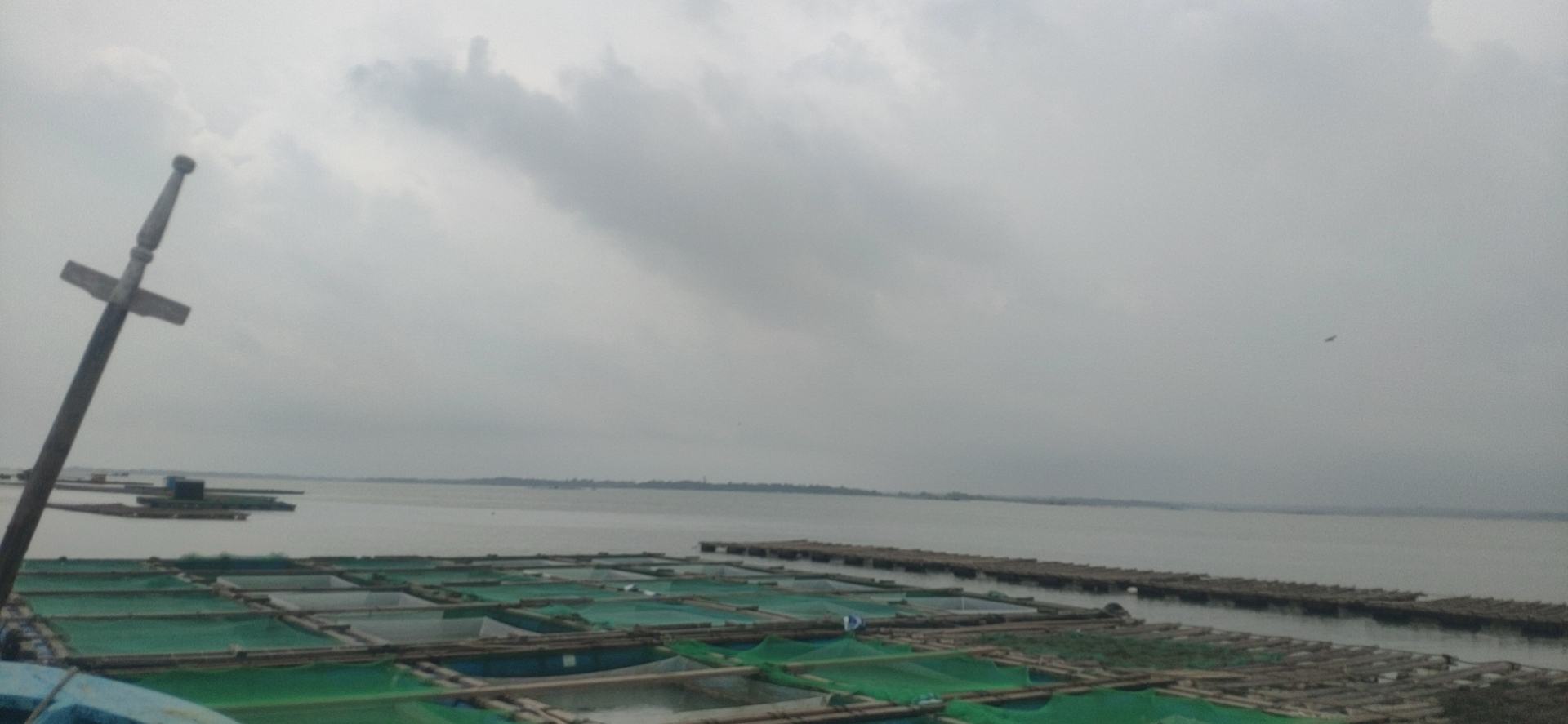 花蛤养殖示范区智能监测系统