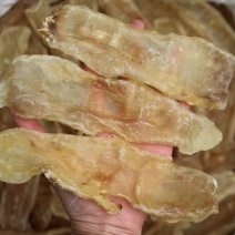 15头新西兰鳕鱼胶花胶非常厚肉口感好原色胶泡发率很高泡发