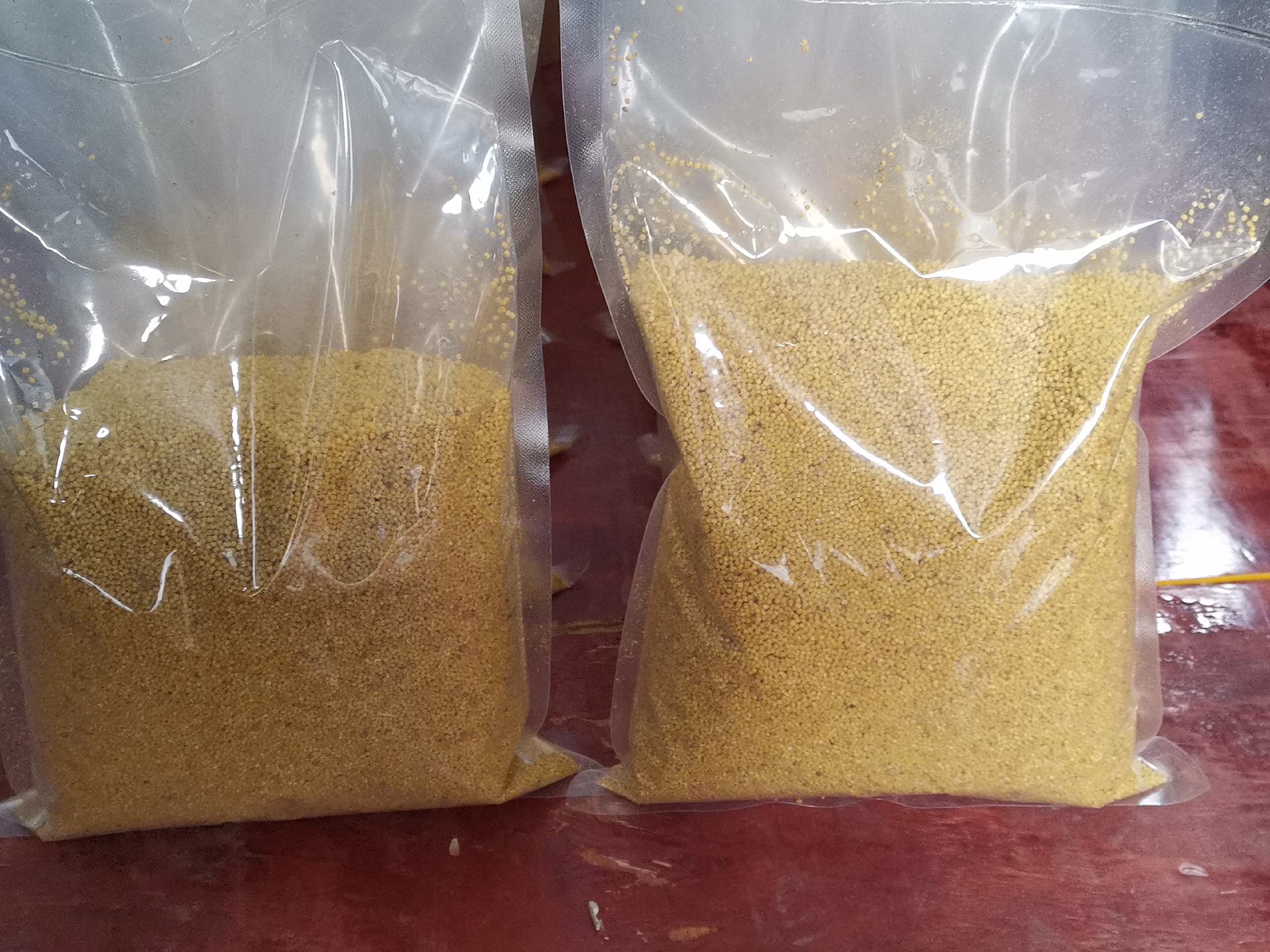 两碗小米并列展示:左侧为干燥未泡的小米,呈现金黄色小颗粒状;右侧为已浸泡6小时的小米,体积明显膨胀,表面湿润光滑,水中略有浑浊沉淀,旁边放有一把不锈钢漏勺用于沥水 小米浸泡前后对比图
