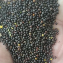 44含油