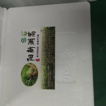 阳新湖蒿